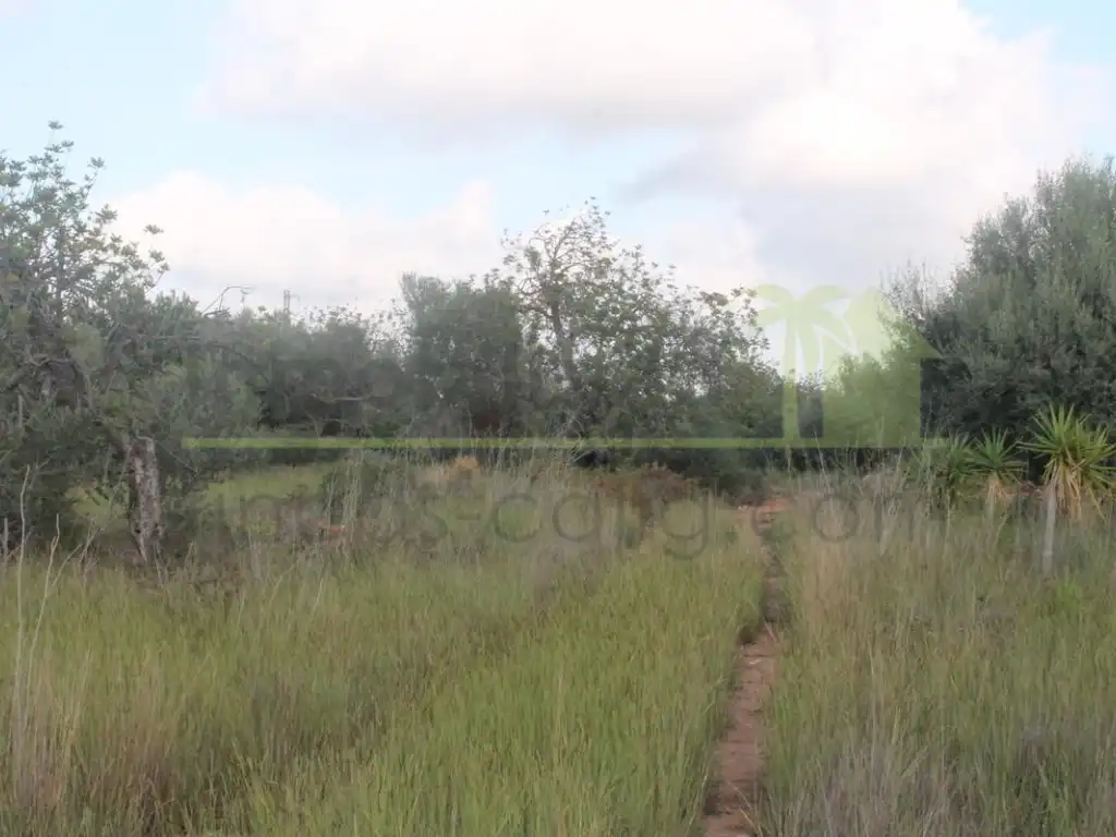 Terreny residencial en venda a Càlig, imagen 2