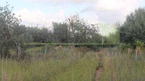 Preciosa finca con proyecto arquitectónico., imatge 2