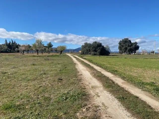 Terreno rustico in vendita a Sonseca, imagen 5