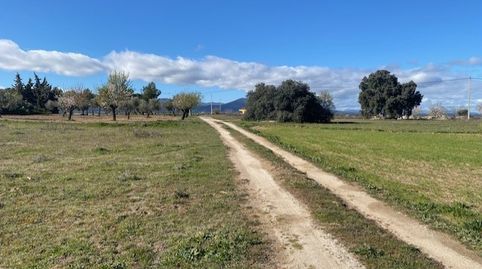 SE VENDE SOLAR RUSTICO EN SONSECA POR 11.000 €, immagine 5