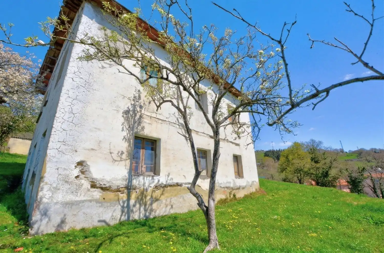 Vista exterior de Casa o chalet en venta en Tineo con Piscina