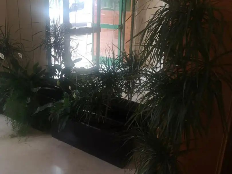 Appartement avec ascenseur à vendre à Calle Estacion 53, imagen 7