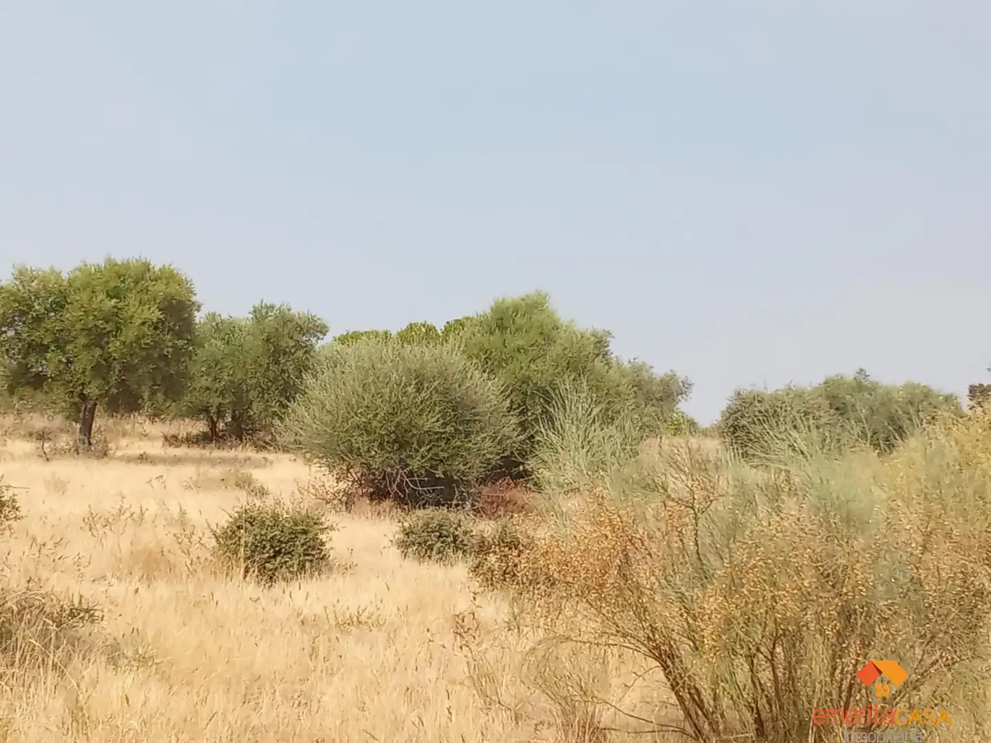 Terreni e lotti in vendita a Este