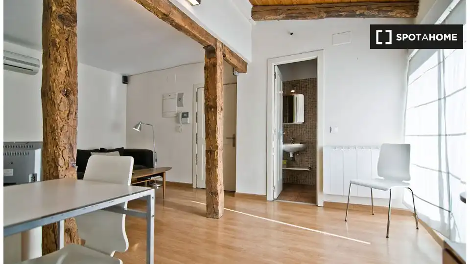 Wohnung mit Terrasse zur Miete in Centro, imagen 4
