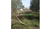 Country house for sale in Chiclana de la Frontera