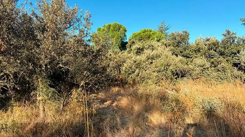 Residencial en venta en Madrid