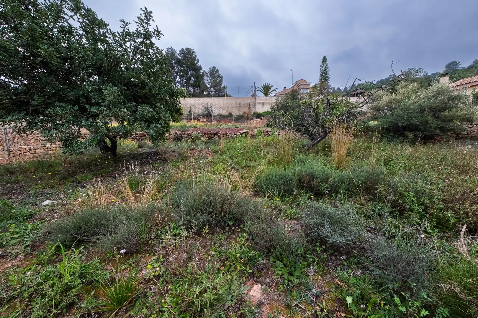 Wohnbaugrundstück zum Verkauf in Calle VALENCIA, imagen 9