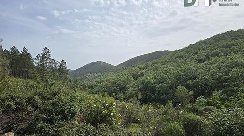 CáceresTerreno