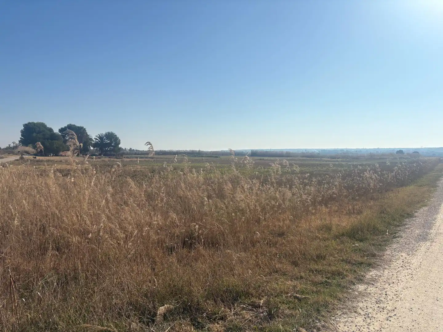Terrain rustique à vendre à La Foia - Daimés - Asprella, imagen 7