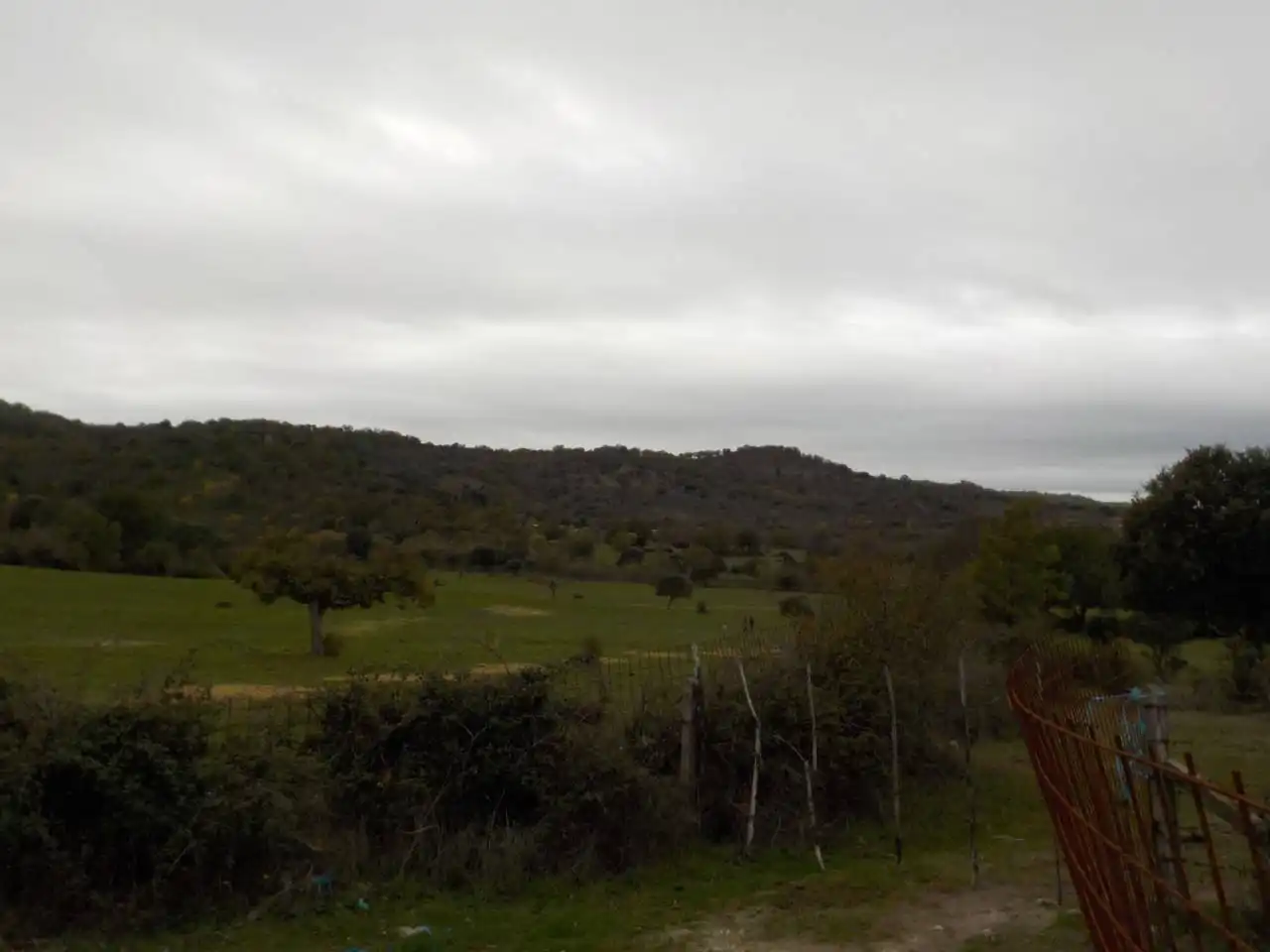 Terreno en venta en Puebla de Azaba