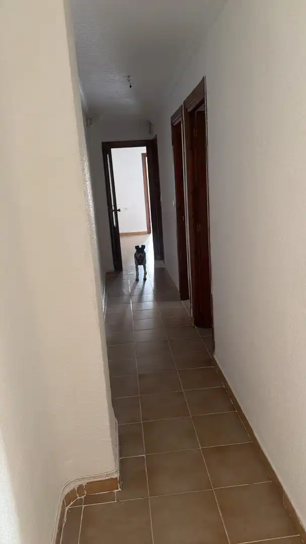 Piso con terraza en venta en Calle Gran Capitán 17, imagen 17