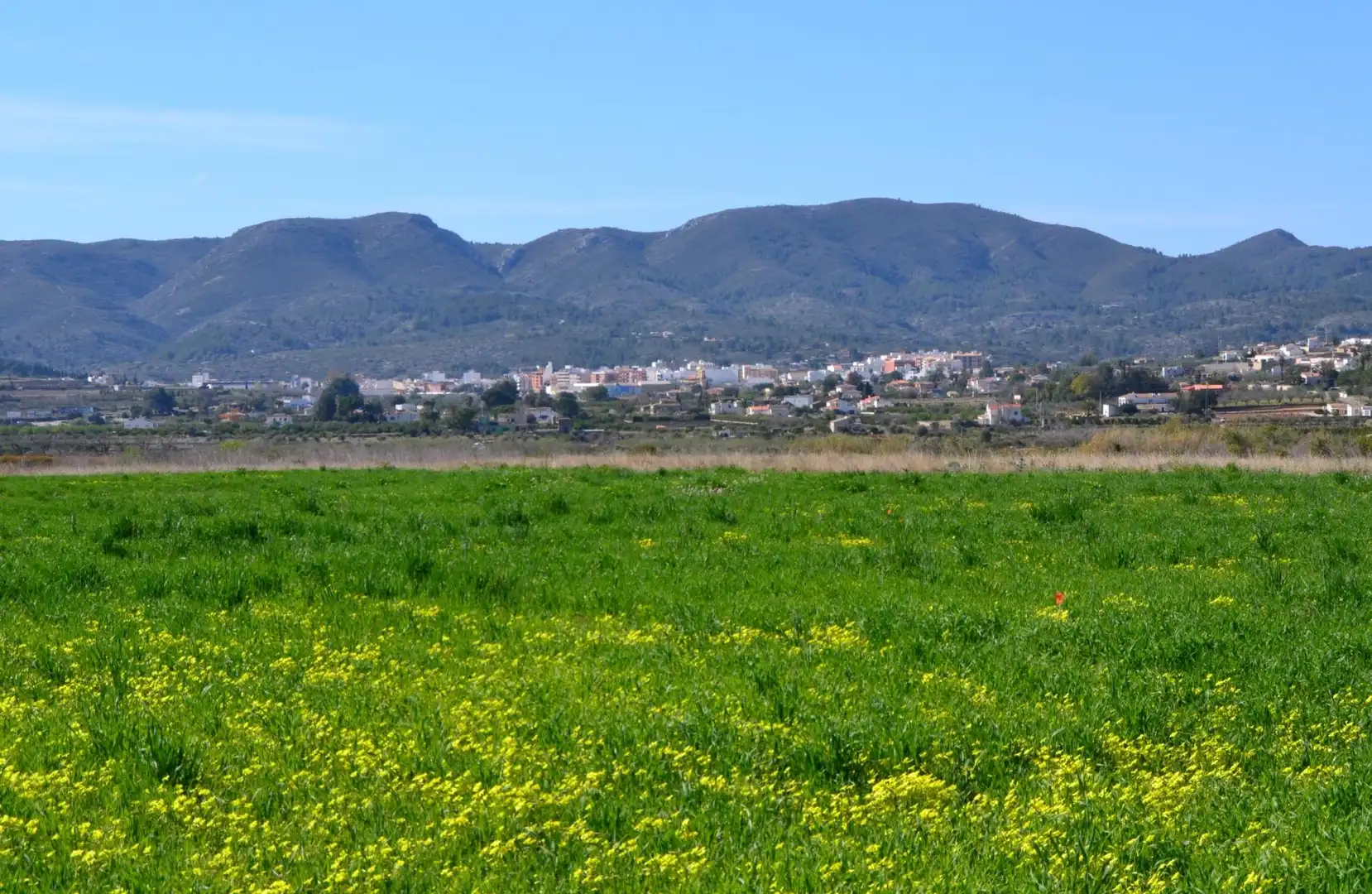 Terreno residencial en venta en Gata de Gorgos, imagen 8