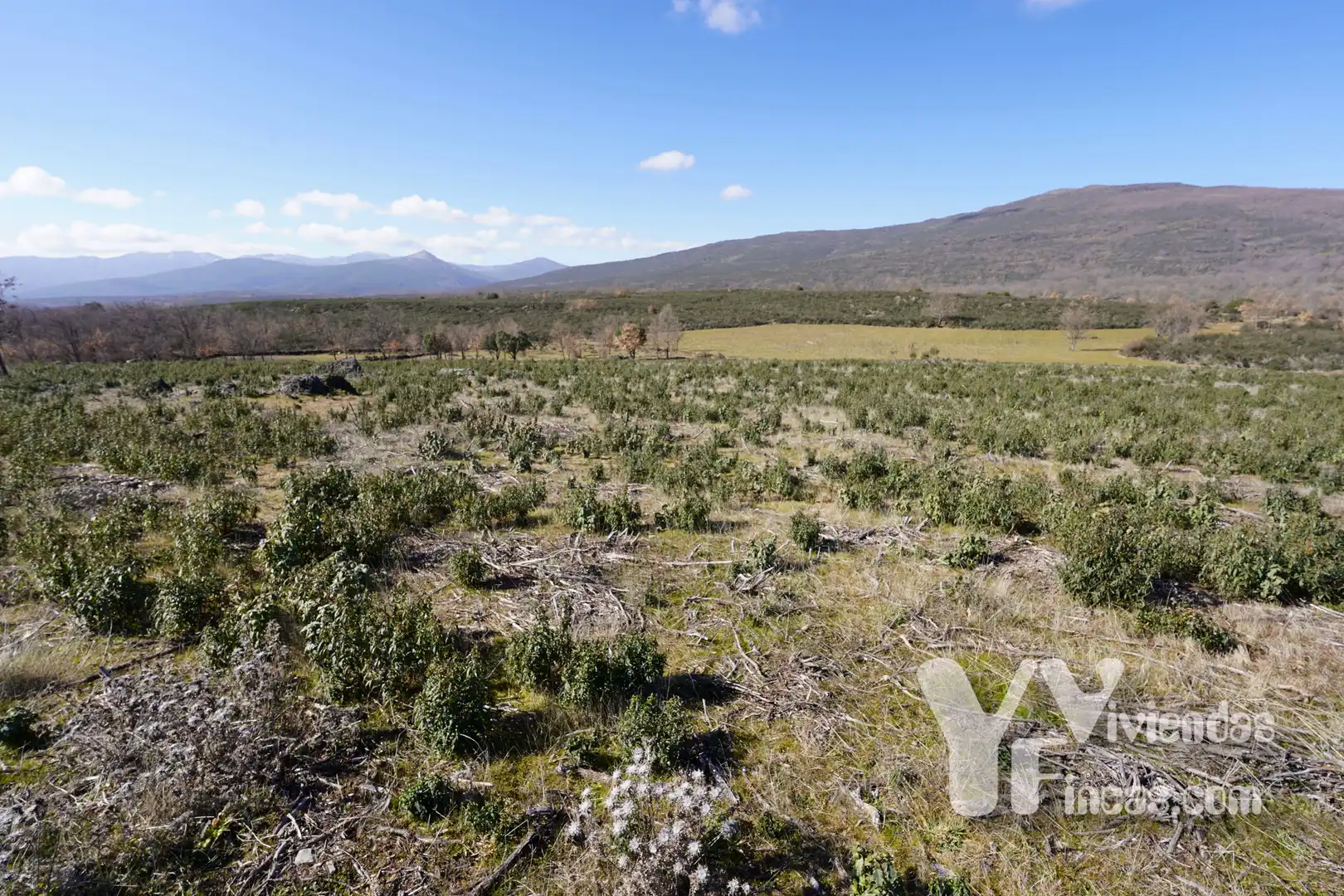 Terreno rústico en venta en Campillo de Ranas, imagen 14