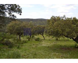 Finca rústica en venda en Garrovillas de Alconétar