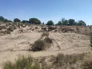Terreny rústic en venda a Agost