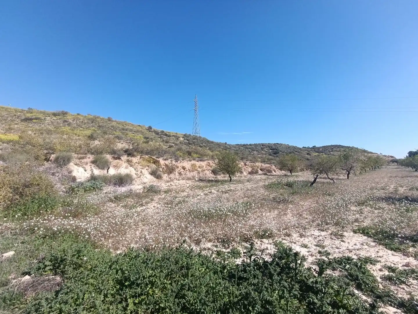 Terreno rustico in vendita a Alcantarilla, imagen 10