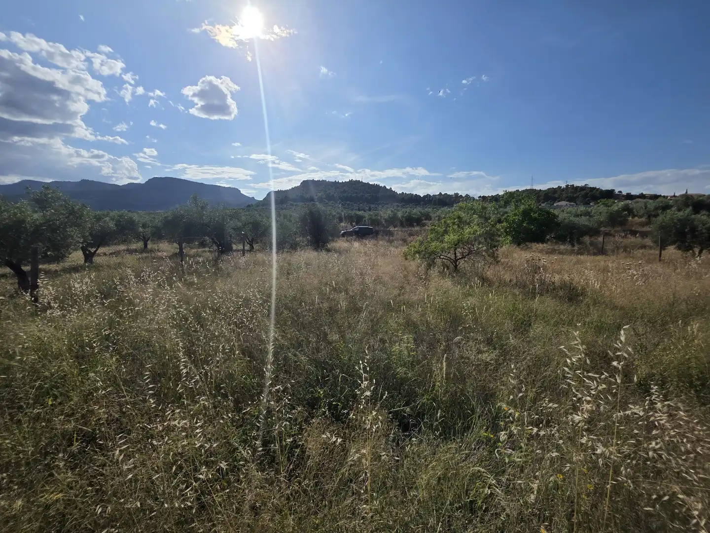 Terreno rustico in vendita a Socovos, imagen 5