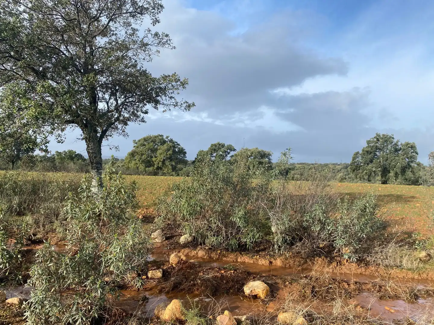 Terreno en venta en Anchuras
