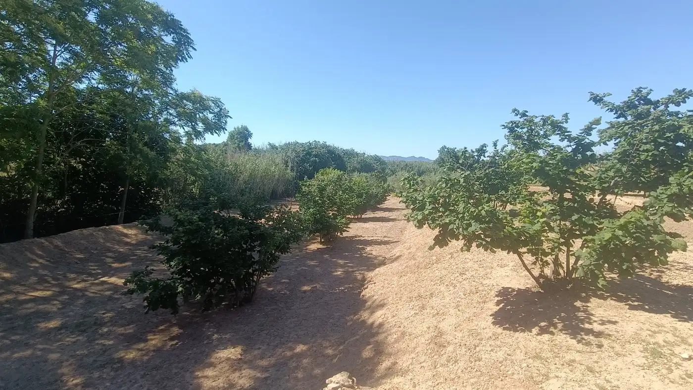 Nau industrial en venda en Marçà