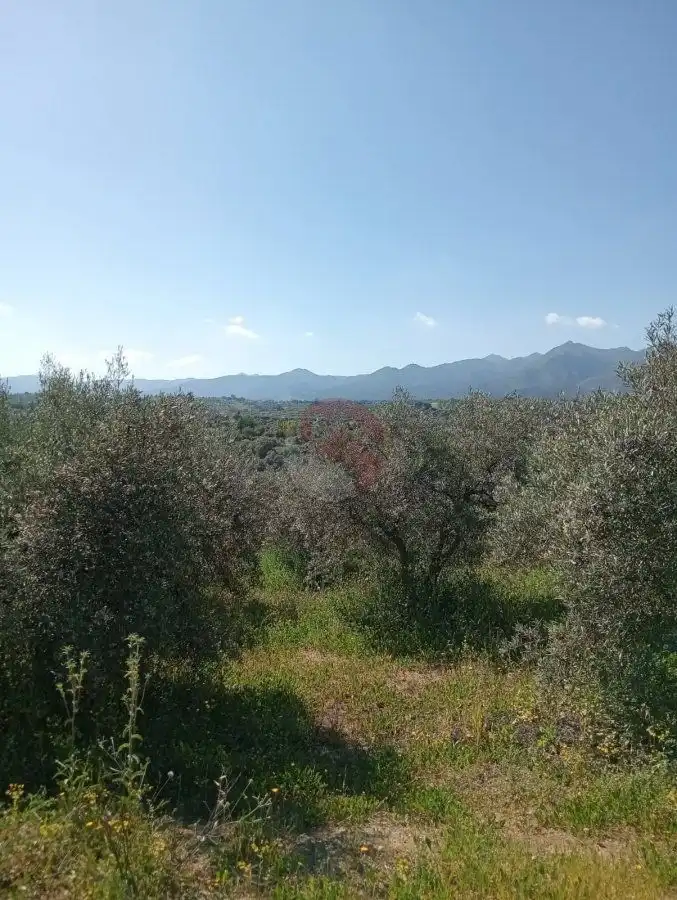 Terreni e lotti in vendita a Estacion de la Alqueria, imagen 16