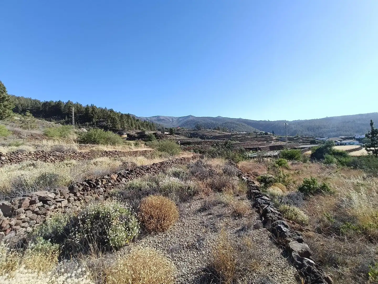 Terreno rústico en venta en M\A LIRIOS. VILAFLOR DE CHASNA [S.C. TENERIFE], imagen 23