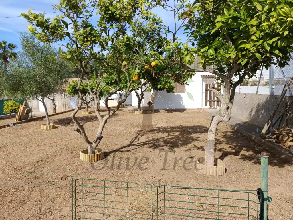 Casa o chalet de alquiler en Calle Damaso Alonso, Jesús