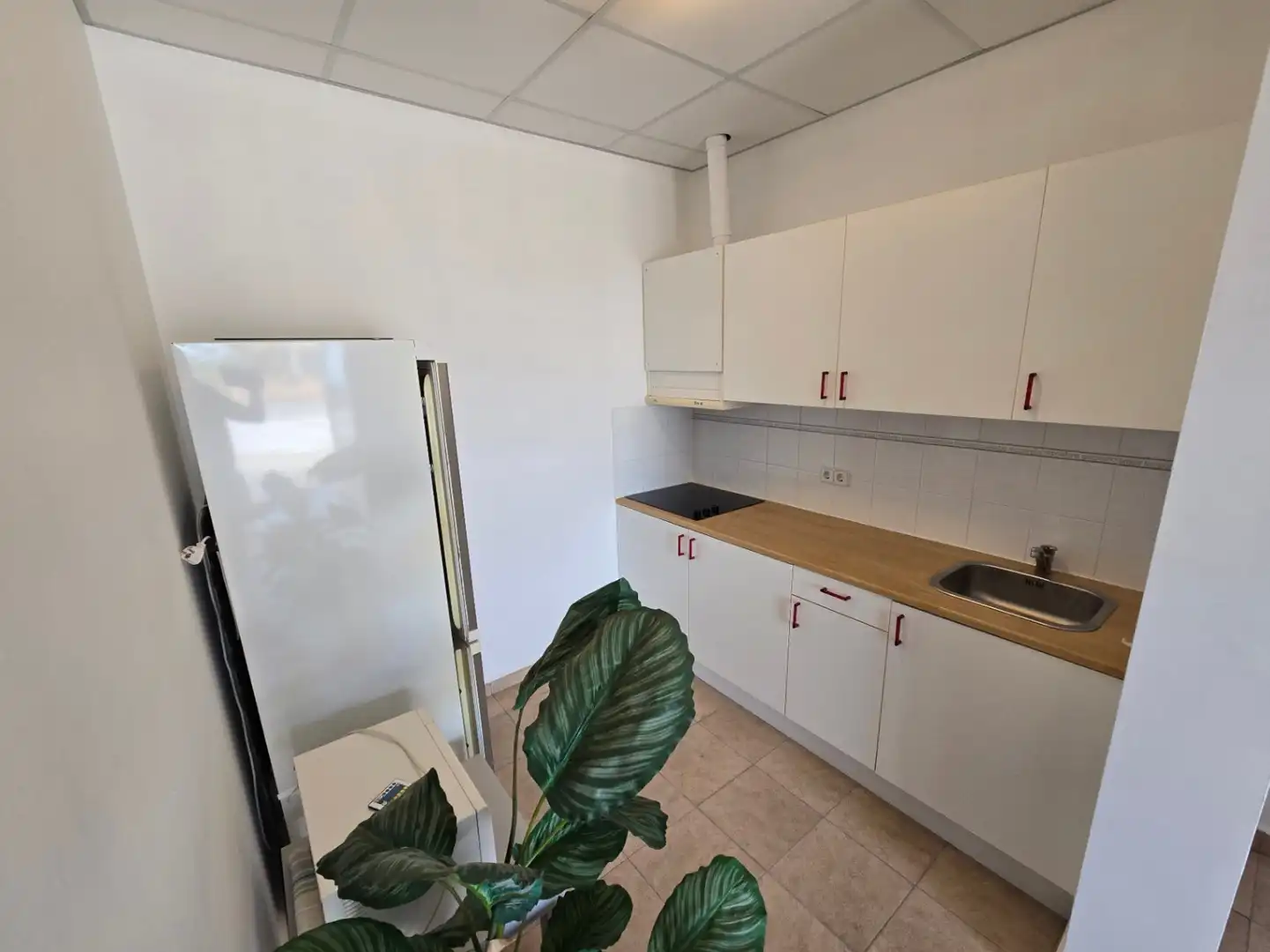 Chalet con terraza en venta en Oltamar - Cucarres, imagen 35