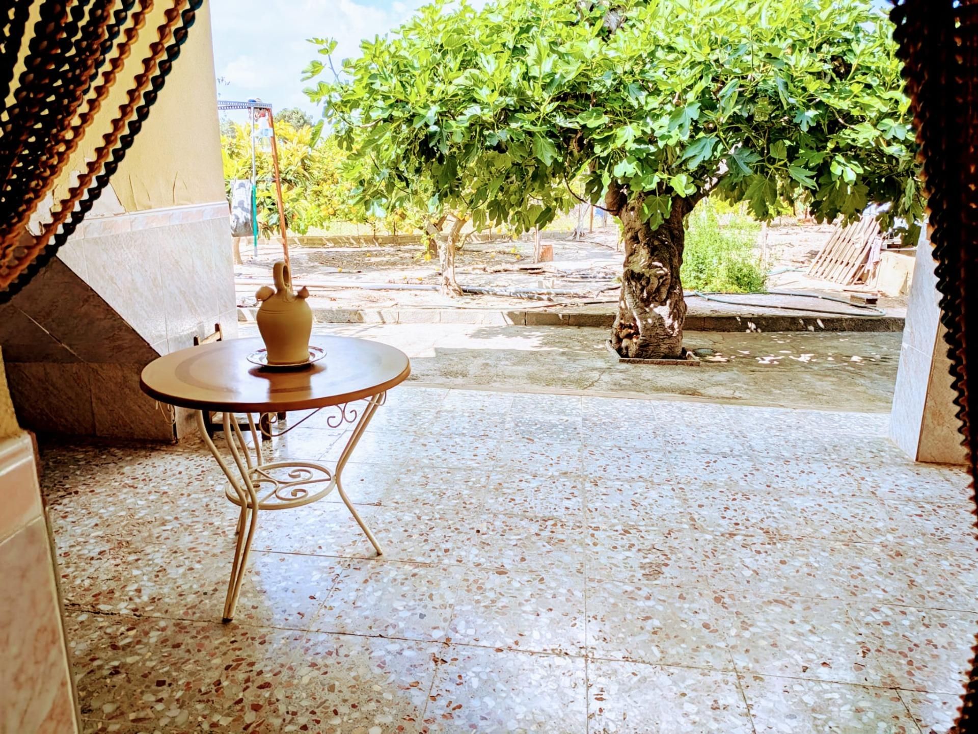 Terrassa de Casa o xalet en venda en Elche / Elx amb Jardí privat, Terrassa i Traster