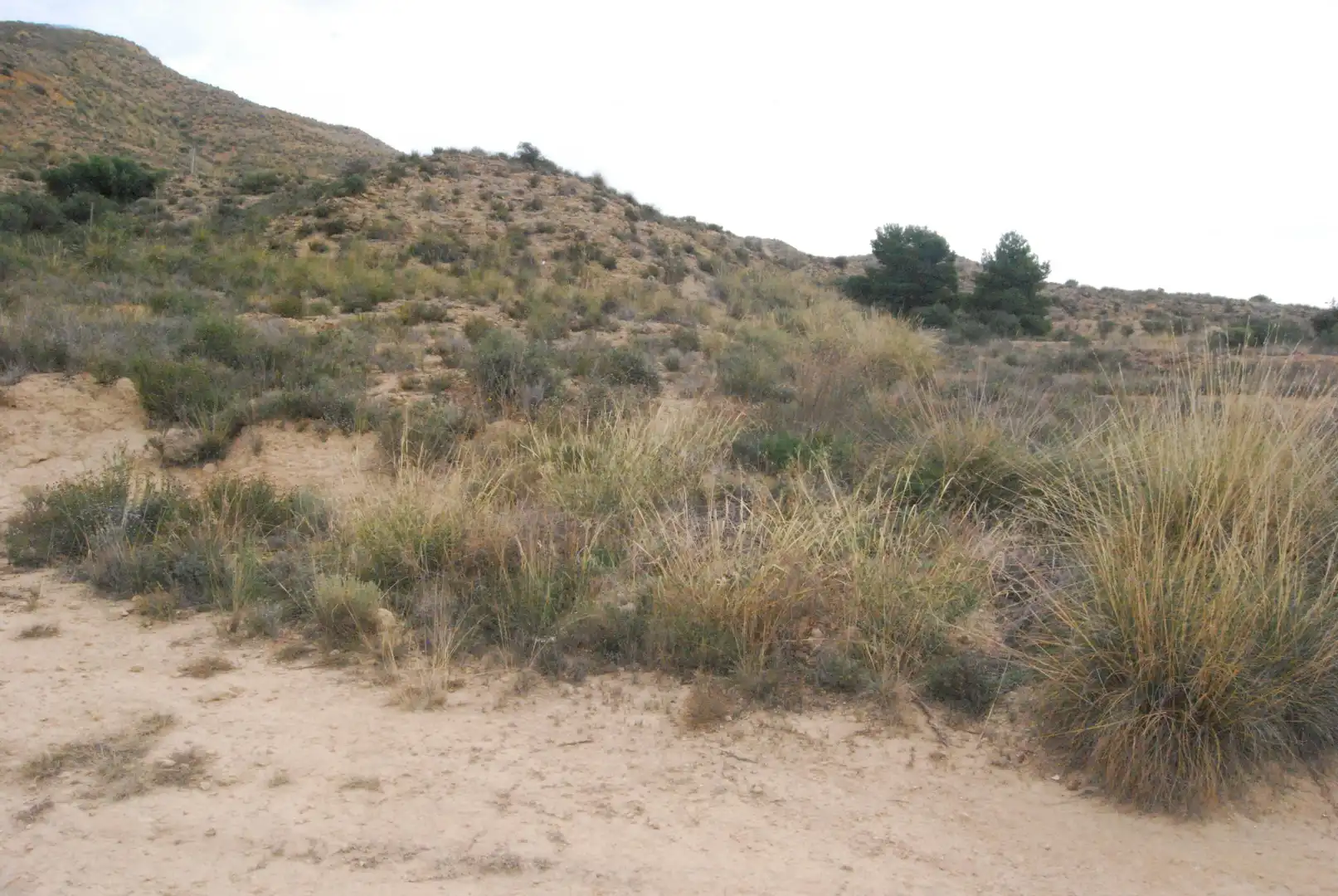 Terreno rustico in vendita a Valle del Sol, imagen 21