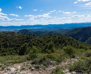 Finca rústica en venda en Borriol