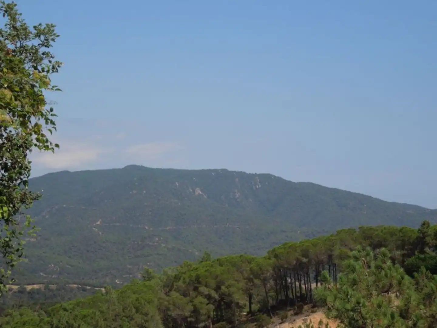 Residencial en venta en El Molí - El Rieral