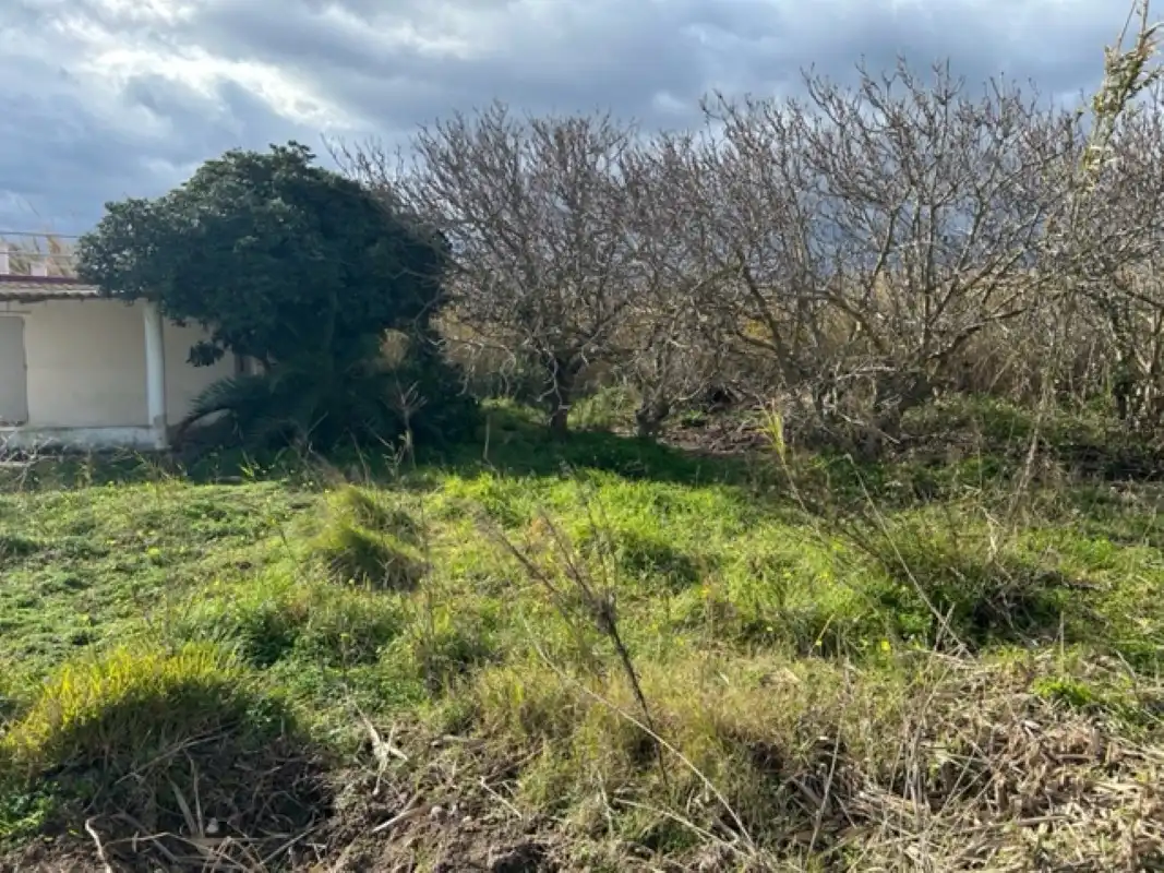 Casa o chalet en venta en Gandia