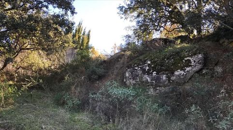 Image 4 de l'annonce