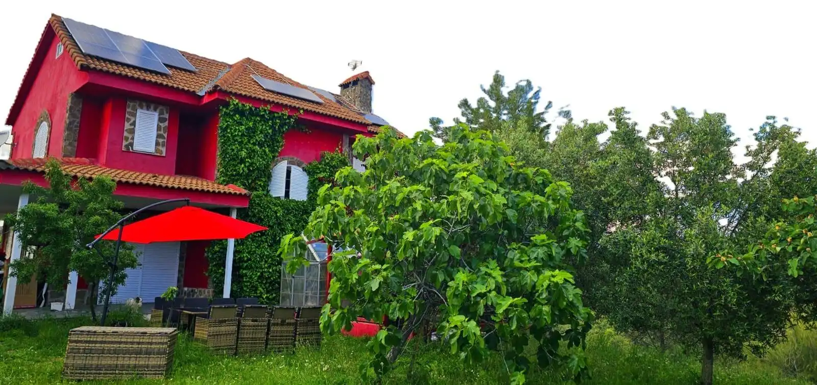 Garden of Houses for sale in Torremocha de Jarama  with Heating, Private garden and Terrace