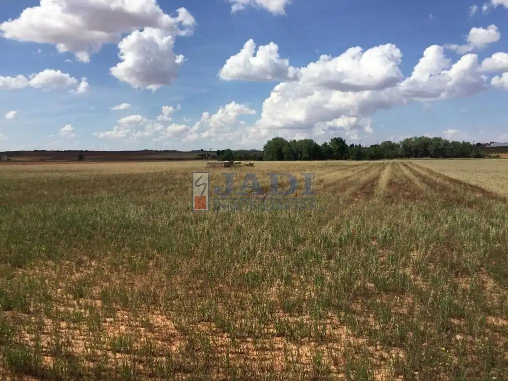 Finca rústica en venta en Alcubillas
