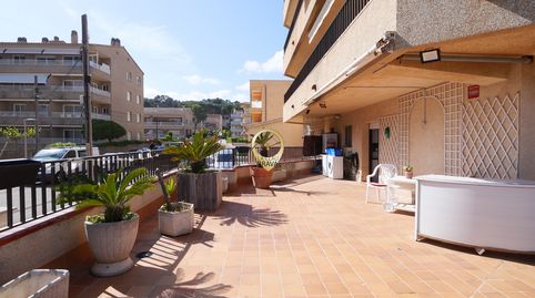 Photo 5 of Ground floor for sale in Urbanització Torre Valentina, Torre Valentina - Mas Vilar de La Mutxada - Treumal, Calonge i Sant Antoni