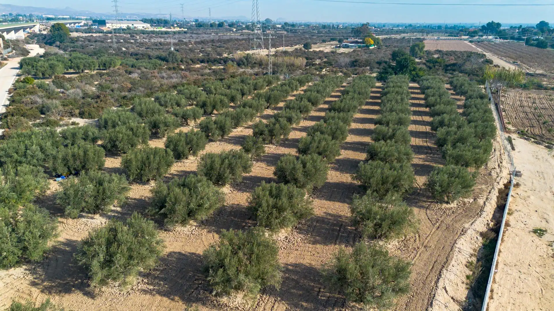 Terreno en venta en Polígono Parcela 66-65, 16, Crevillent