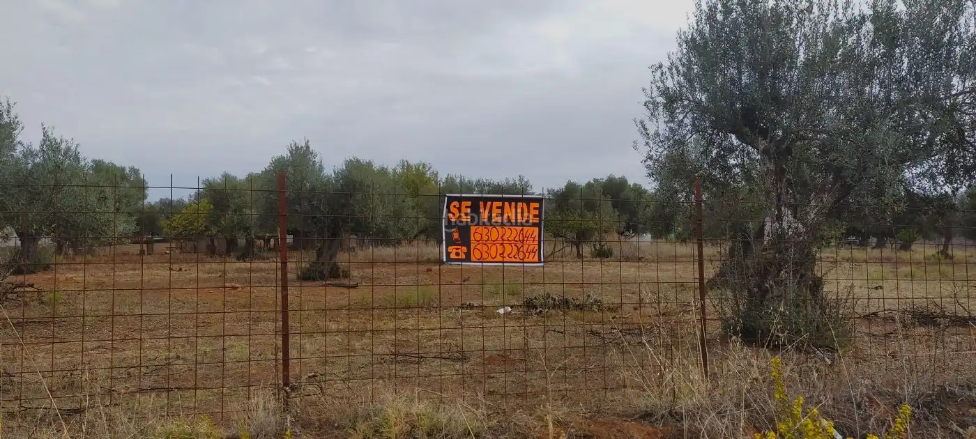 Terreny rústic en venda a Calle Industrial el Pabellón 3, imagen 7