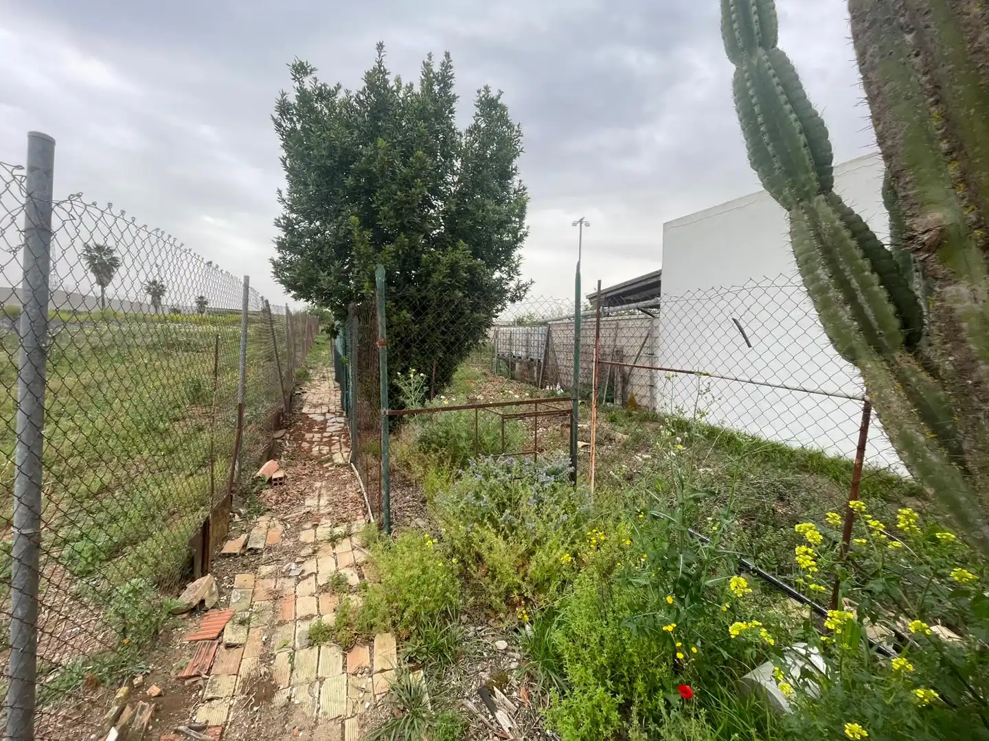 Houses for sale in Carrión de los Céspedes  with Private garden