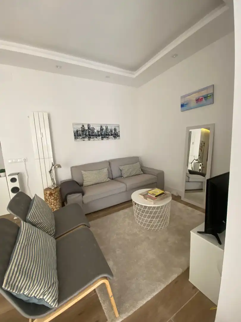 Sala de estar de Piso de alquiler en Madrid con Calefacción