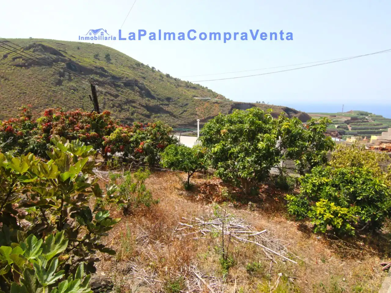 Vista exterior de Terreno en venta en San Andrés y Sauces