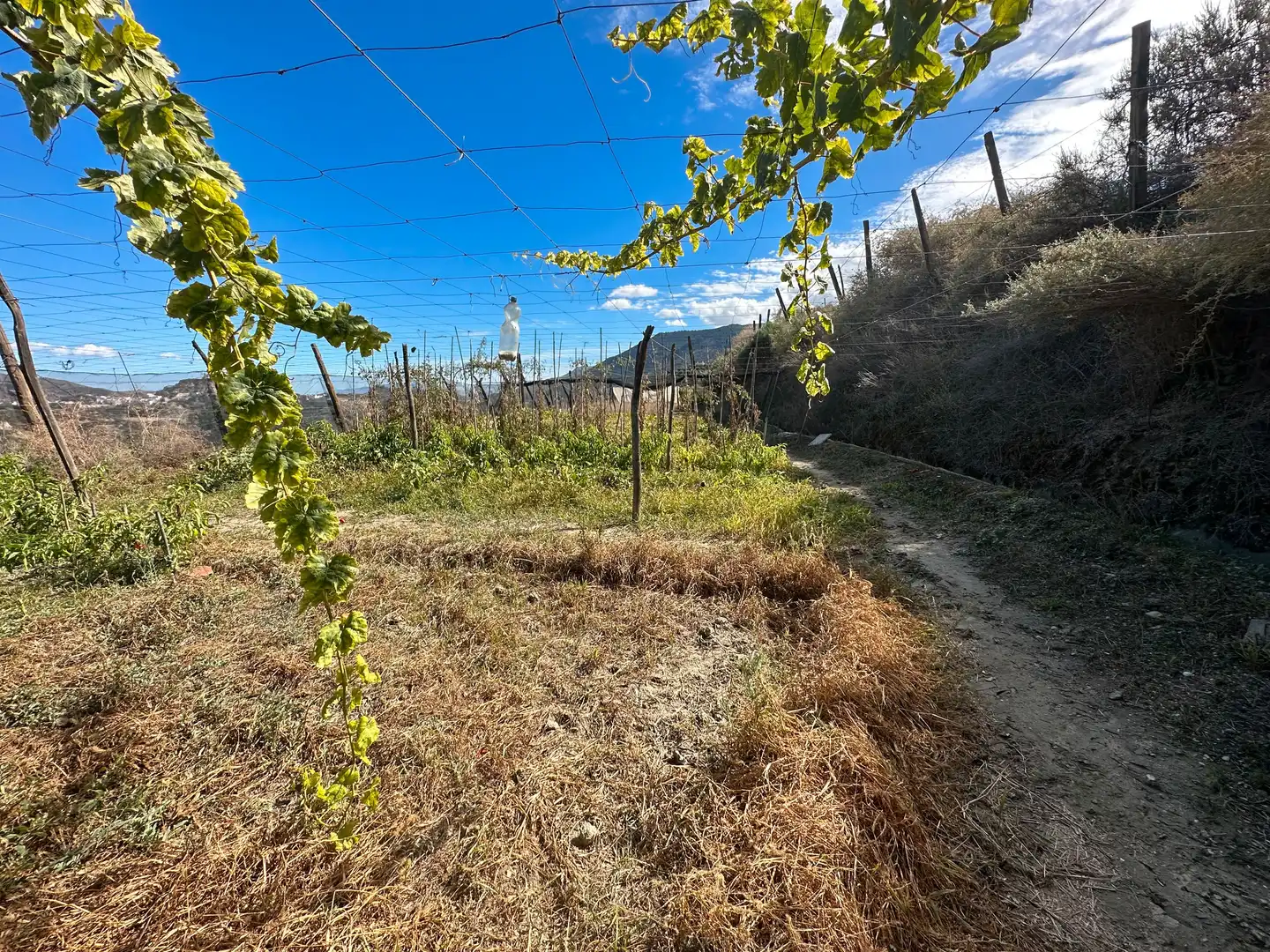 Finca rústica en venda en Canjáyar amb Jardí privat, Terrassa i Traster