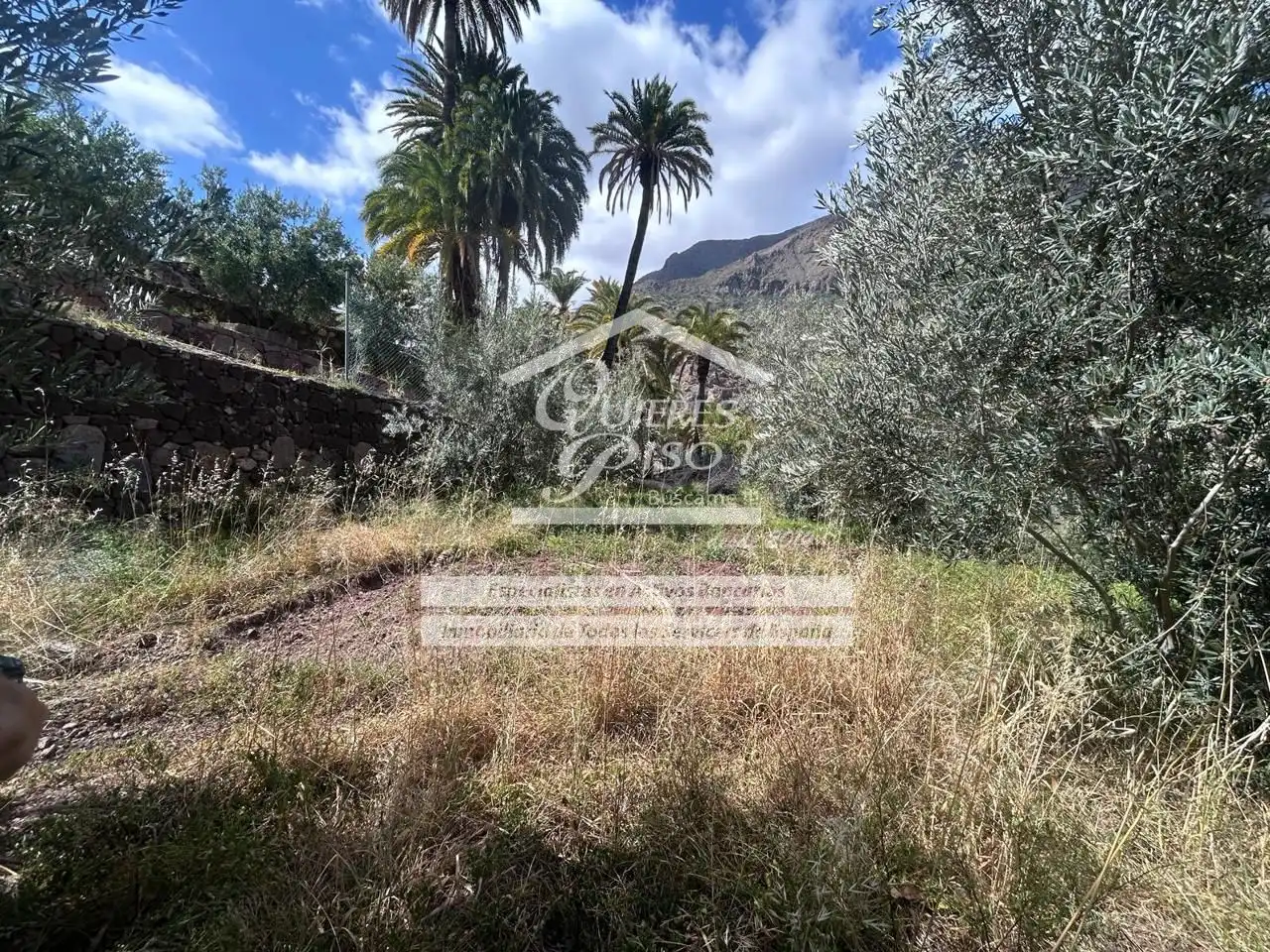 Land for sale in Santa Lucía de Tirajana