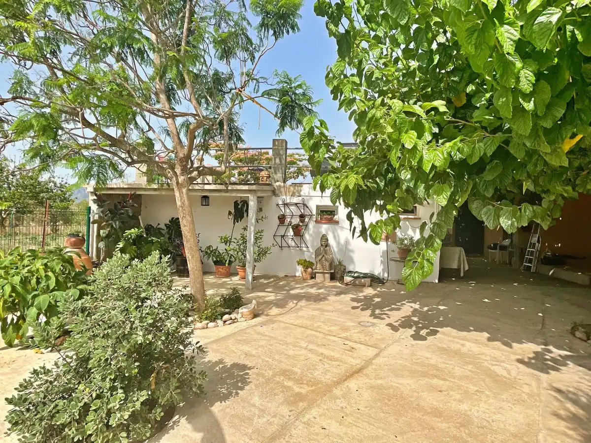 Jardí de Casa o xalet en venda en Xerta amb Terrassa