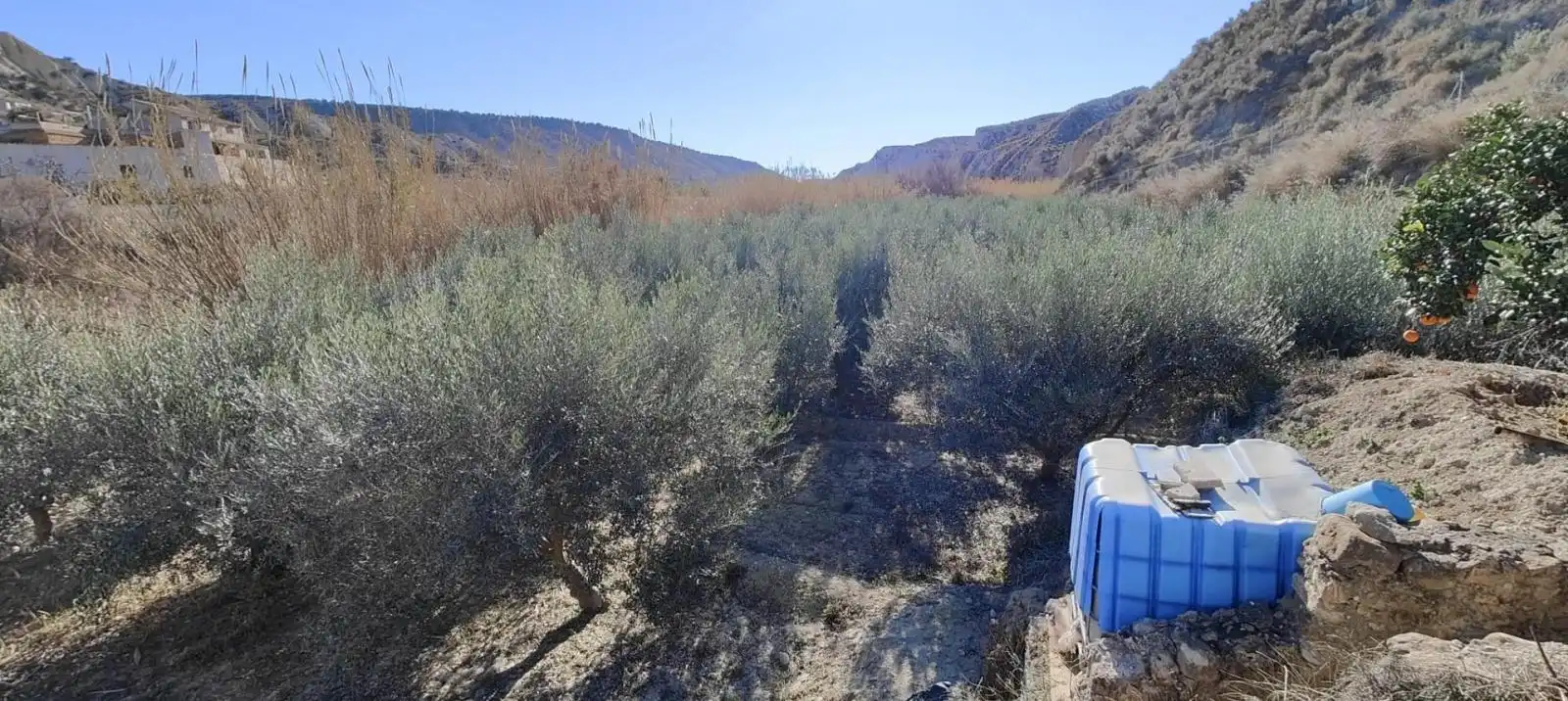 Lands and plots for sale in Mula, imagen 5