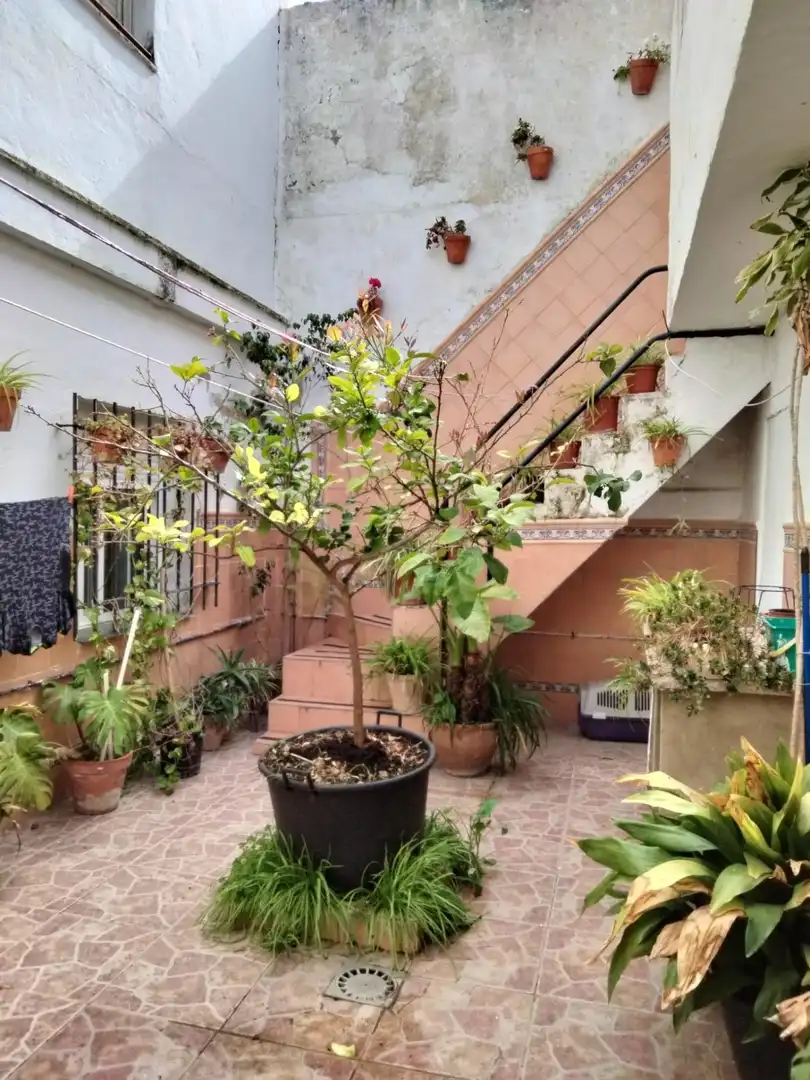 Terraza de Casa o chalet en venta en Puerto Real