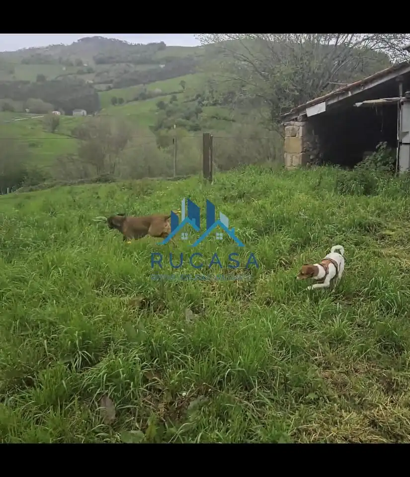 Finca rústica en venta en Villafufre, Villafufre
