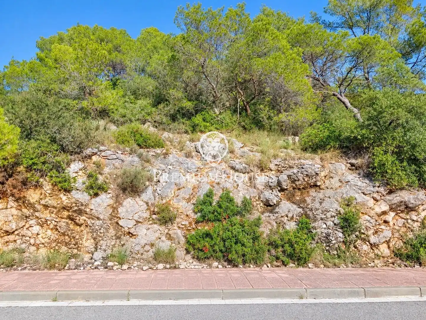 Residential land for sale in Mas Alba, imagen 9