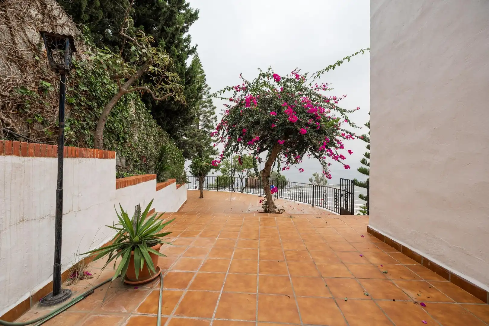 Casa con jardín en venta en Monte los Almendros - El Pargo - Costa Aguilera, imagen 59