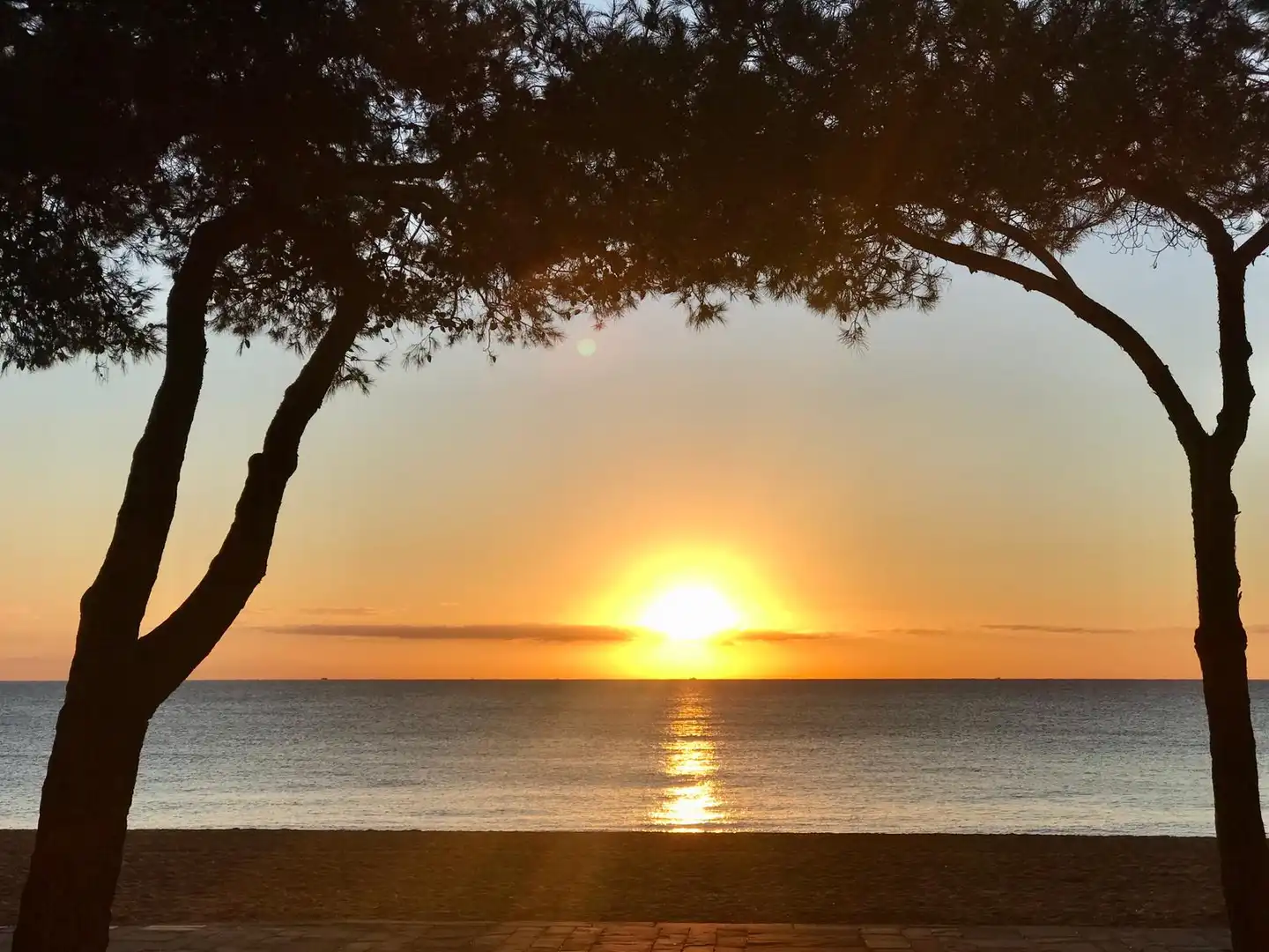 Vista exterior de Apartament en venda en Calonge i Sant Antoni amb Aire condicionat, Calefacció i Piscina comunitària